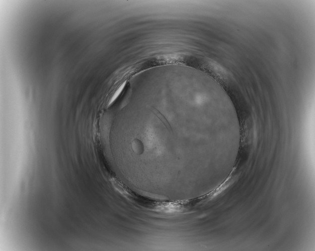 X0000085300140200703161440