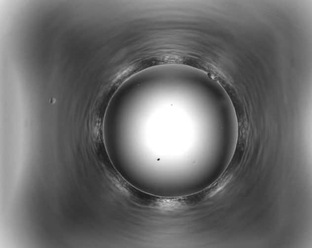 X0000085300141200703161440