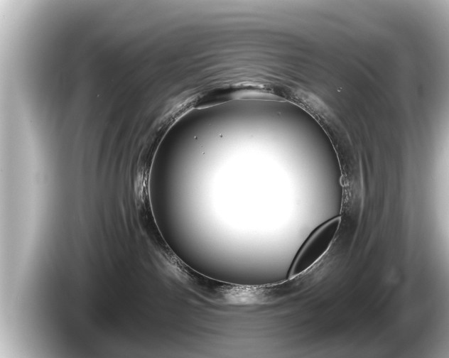 X0000085300142200703161440