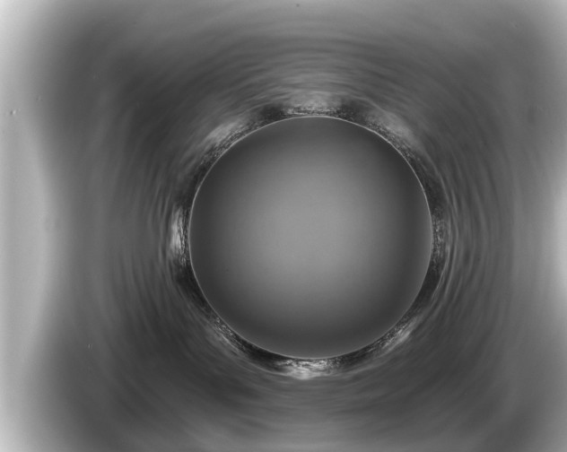 X0000085300143200703161440