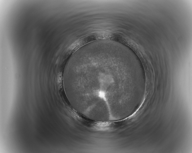 X0000085300144200703161440