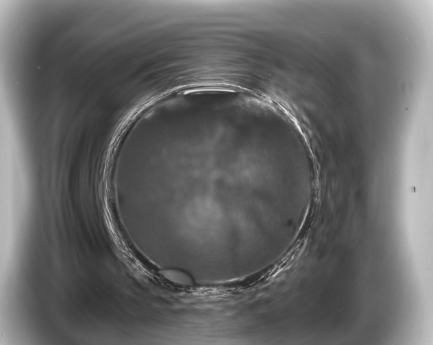 X0000085300145200703161440