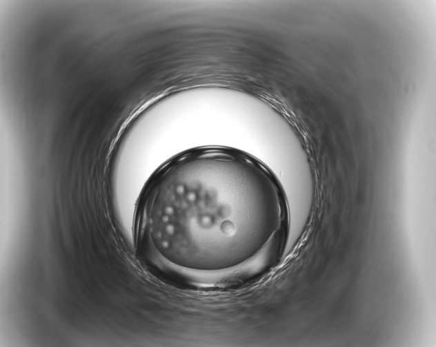 X0000085300146200703161440