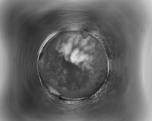 X0000085300147200703161440