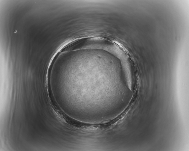 X0000085300148200703161440