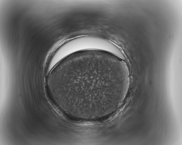 X0000085300149200703161440