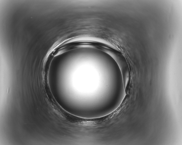 X0000085300150200703161440