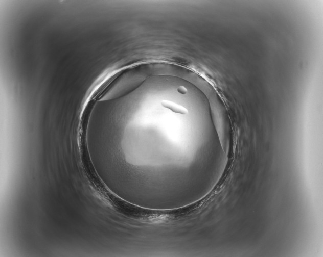 X0000085300152200703161440