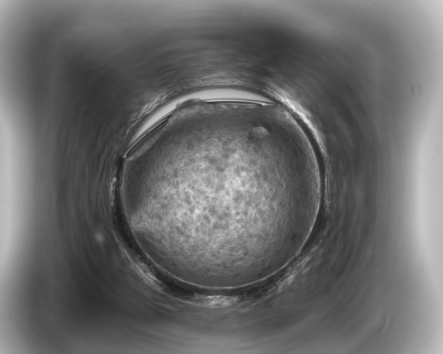 X0000085300153200703161440