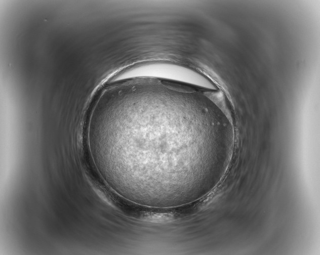 X0000085300155200703161440