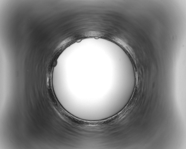 X0000085300157200703161440