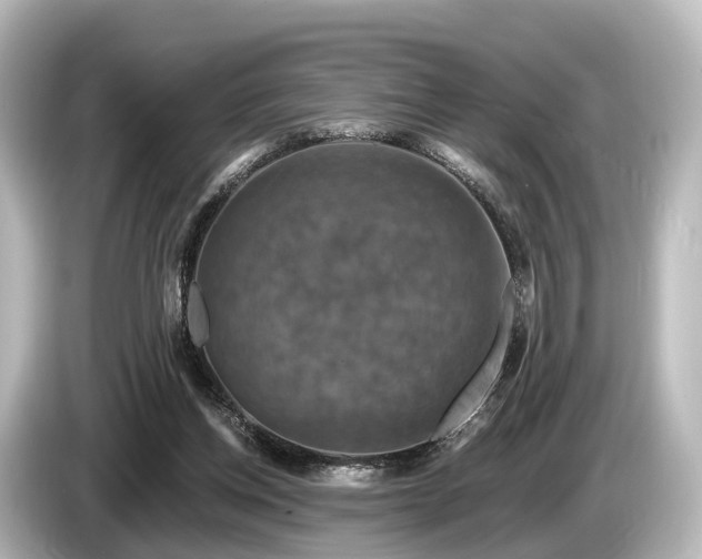 X0000085300158200703161440