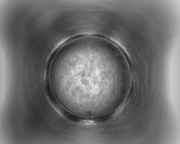 X0000085300159200703161440