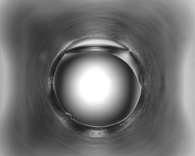 X0000085300160200703161440