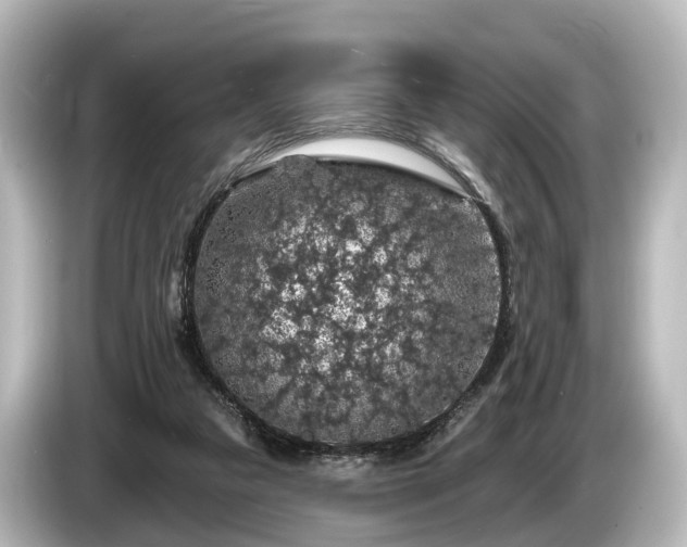 X0000085300161200703161440