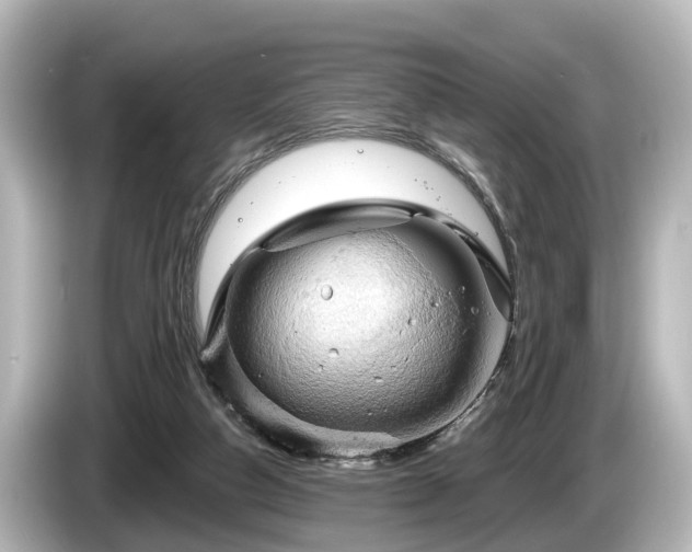 X0000085300162200703161440