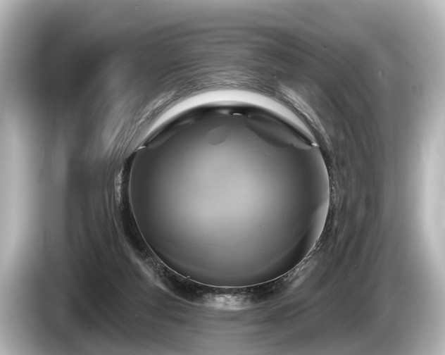 X0000085300163200703161440