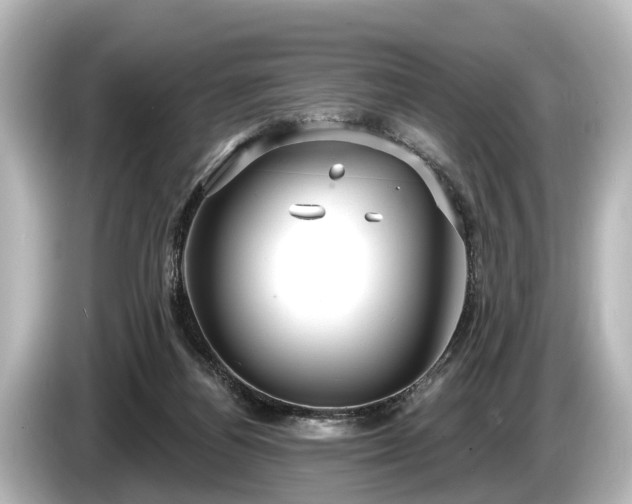 X0000085300164200703161440