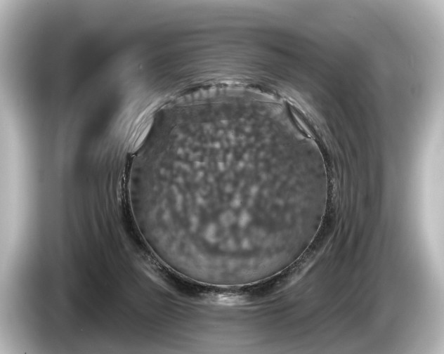 X0000085300165200703161440