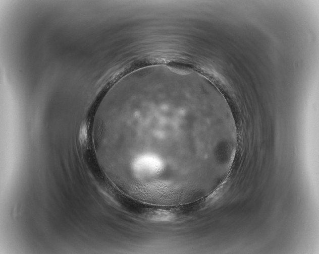 X0000085300166200703161440