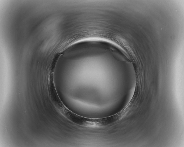 X0000085300167200703161440