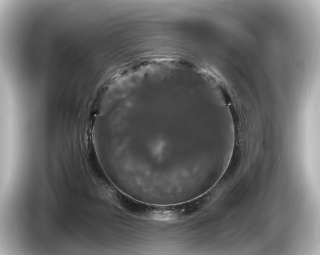 X0000085300169200703161440