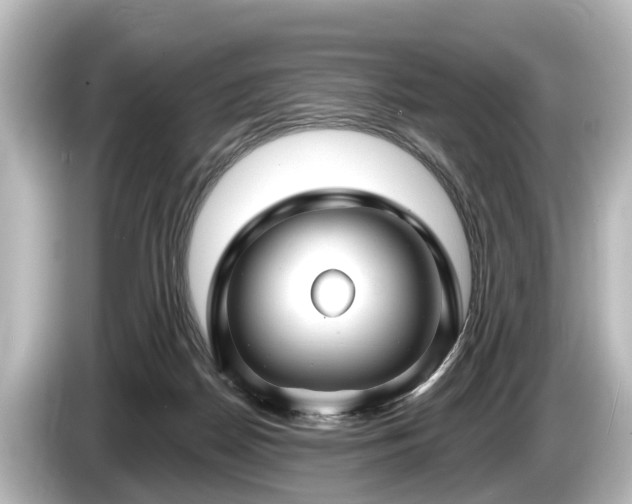 X0000085300170200703161440