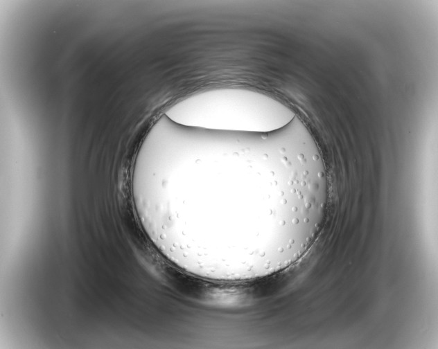 X0000085300171200703161440