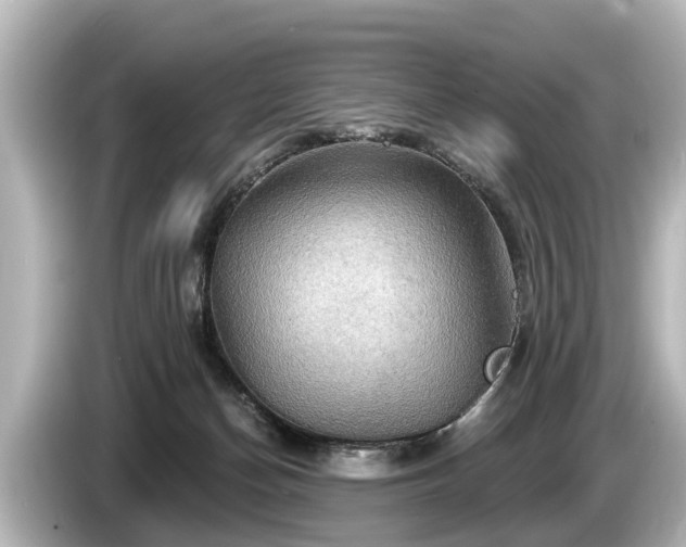 X0000085300174200703161440