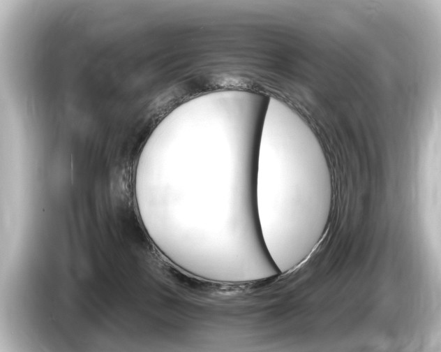 X0000085300175200703161440