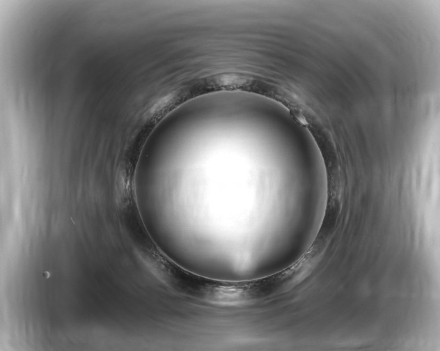 X0000085300176200703161440