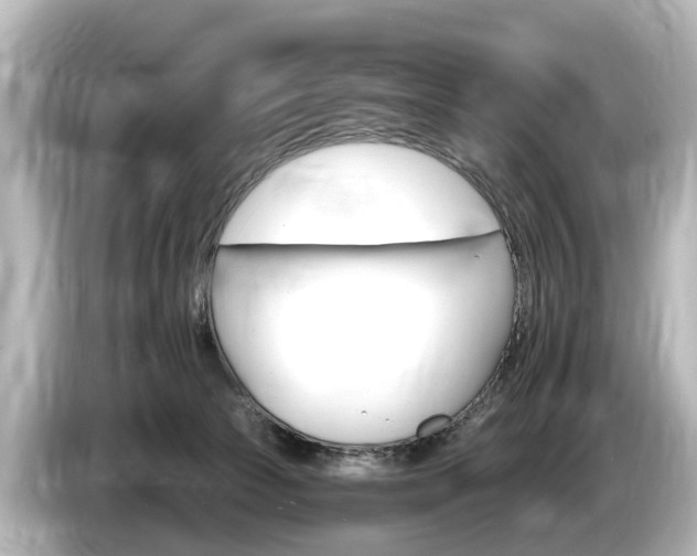 X0000085300177200703161440