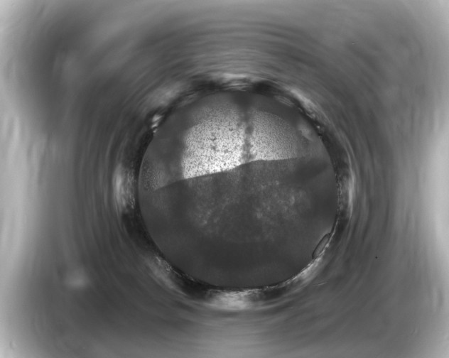 X0000085300178200703161440