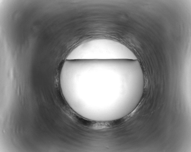 X0000085300179200703161440