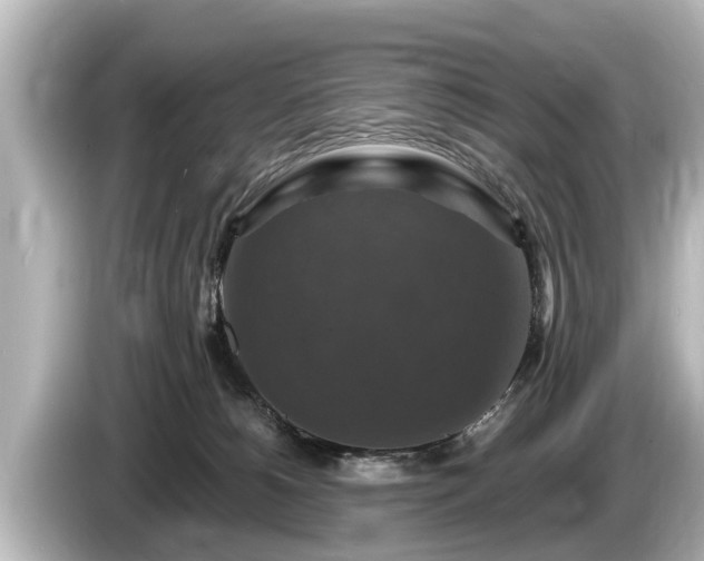 X0000085300180200703161440