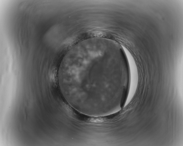 X0000085300181200703161440