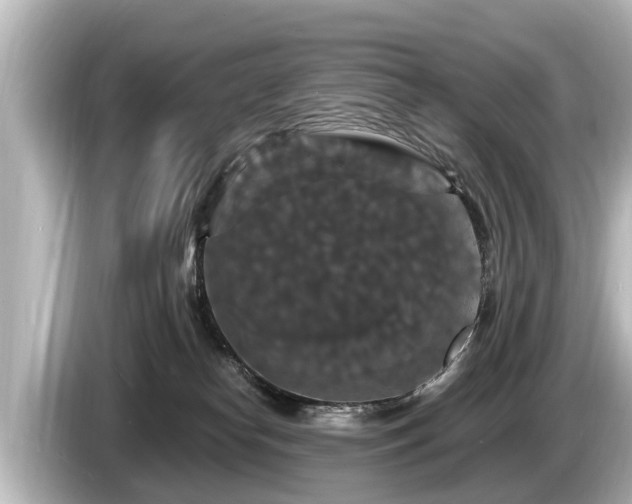 X0000085300182200703161440