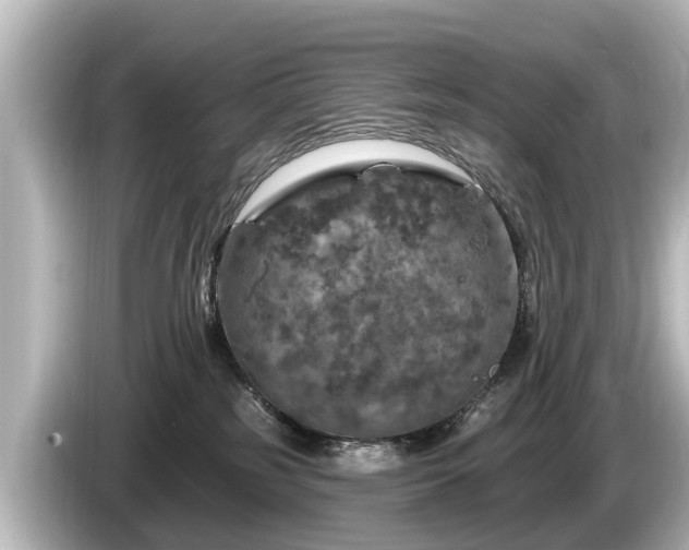 X0000085300185200703161440