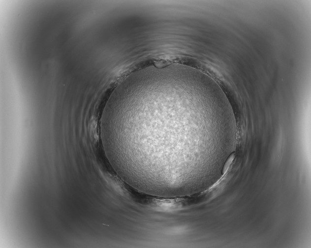 X0000085300187200703161440