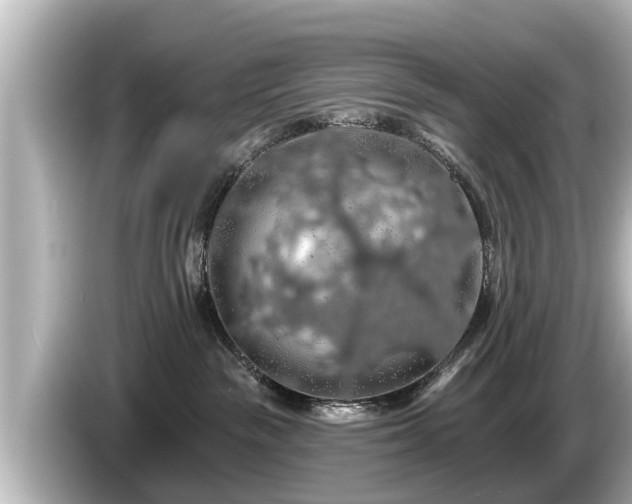 X0000085300189200703161440