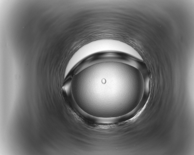 X0000085300190200703161440