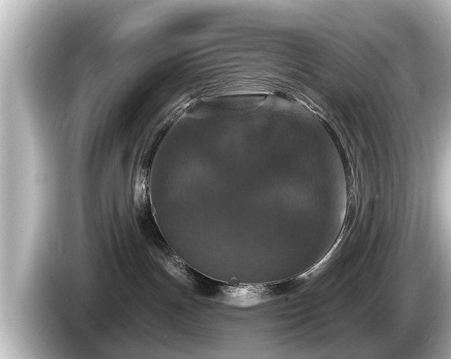 X0000085300191200703161440