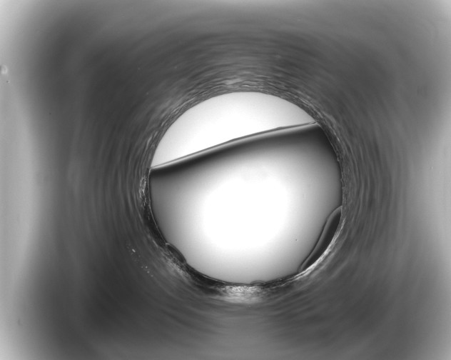 X0000085300192200703161440