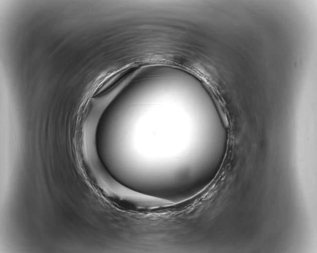 X0000085300193200703161440