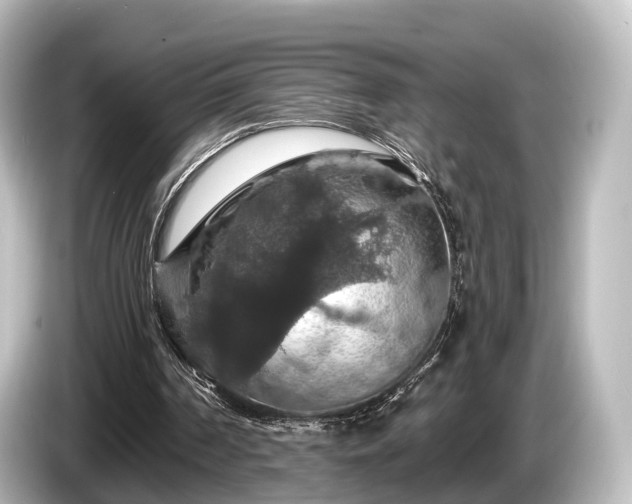 X0000085300194200703161440