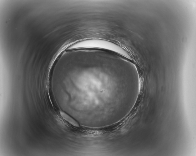 X0000085300195200703161440