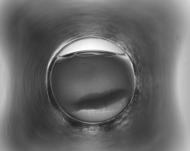 X0000085300196200703161440