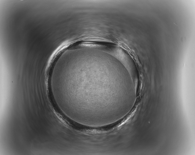 X0000085300197200703161440