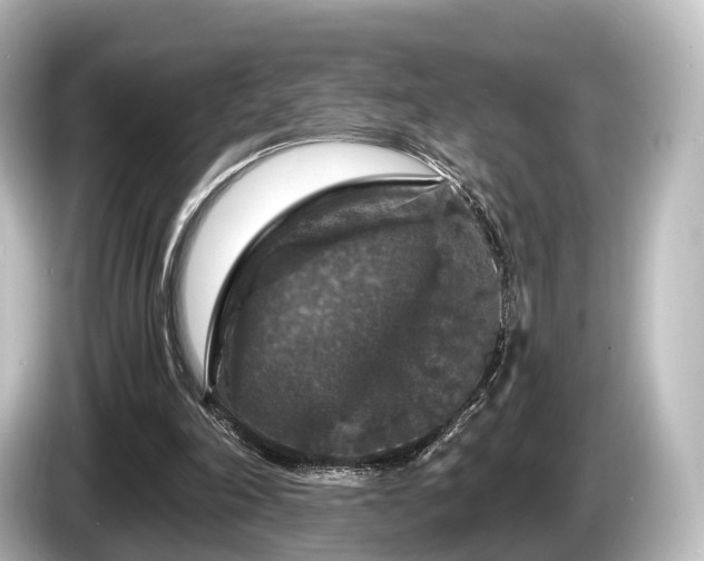 X0000085300198200703161440