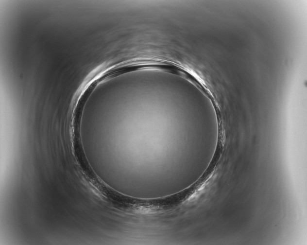 X0000085300199200703161440